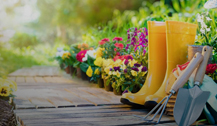 Artificial Grass Projects